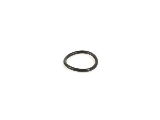 O-ring swingarm Smallframe inw.22x2,5mm